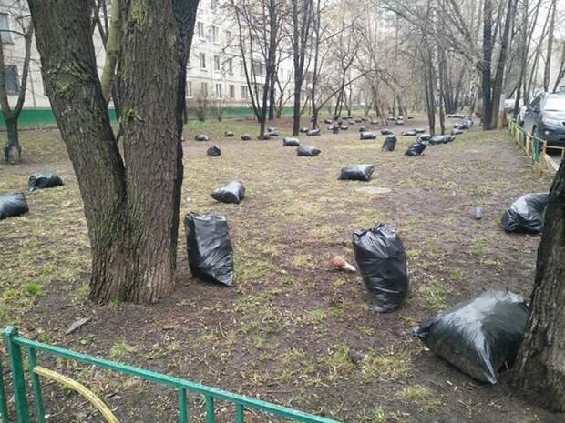 Прикольные картинки и забавные фото приколы из жизни (12 фото) Прикольные картинки и забавные фото приколы из жизни (12 фото)