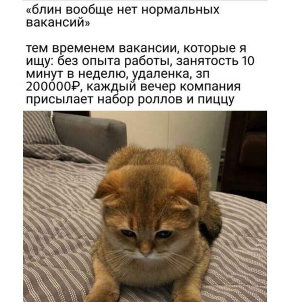 А как вам работается по жизни? А как вам работается по жизни?