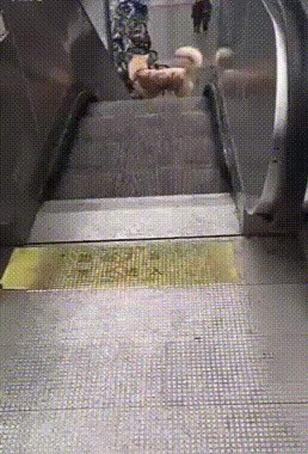Развлечение нашла себе собачка gif, лестница, лестницы, подборка, прикол, эскалаторы