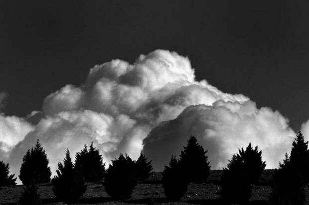 Фотограф Араш Карими (Arash Karimi)