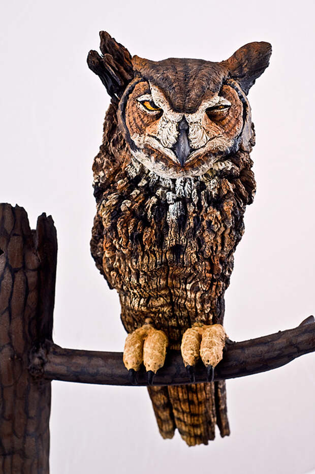 Kathy Boortz - Owl in Autumn