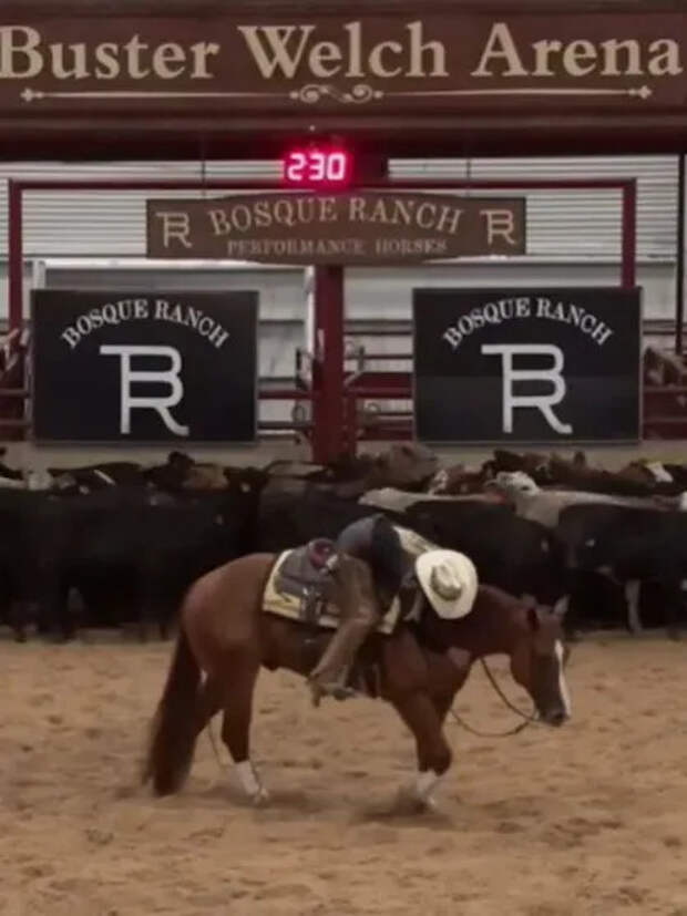 Белла Хадид