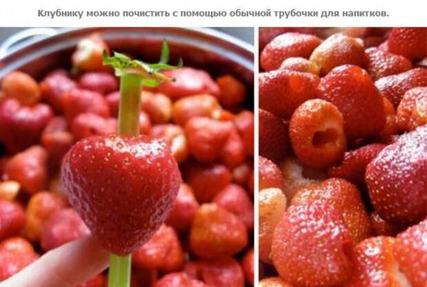 Житейские премудрости для рачительных хозяев