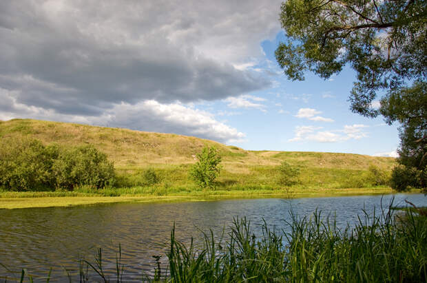 «Экстремальной жары не будет»: синоптики разошлись в прогнозах о лете в России