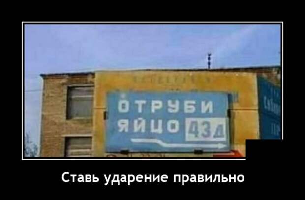 Демотиваторы 3 февраля 2022 года