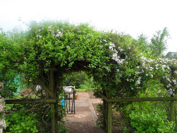 arbor-and-archway-in-garden2-1.jpg