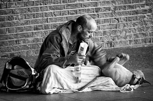 dogs_dont_care_about_money_all_they_need_is_love_640_09