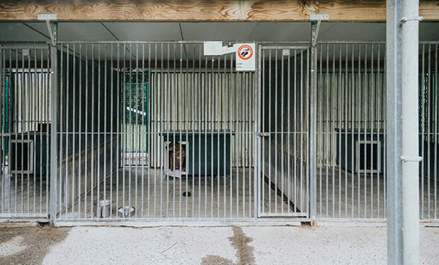 Источник фото: Unsplash