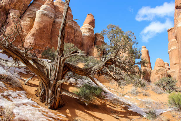 США. Юта. Национальный парк Арки. (Arches National Park/Kait Thomas)