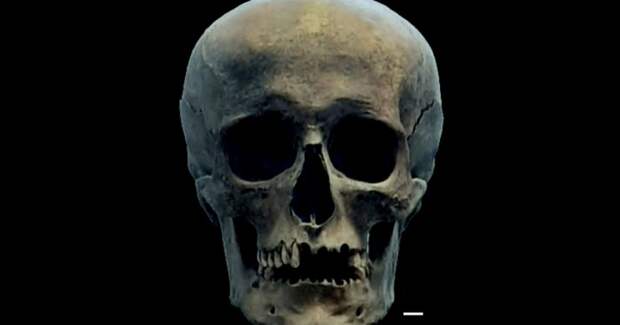 Генетики: знатный мужчина XIV–XV веков из Переславля‑Залесского имел смешанное «иностранное» происхождение