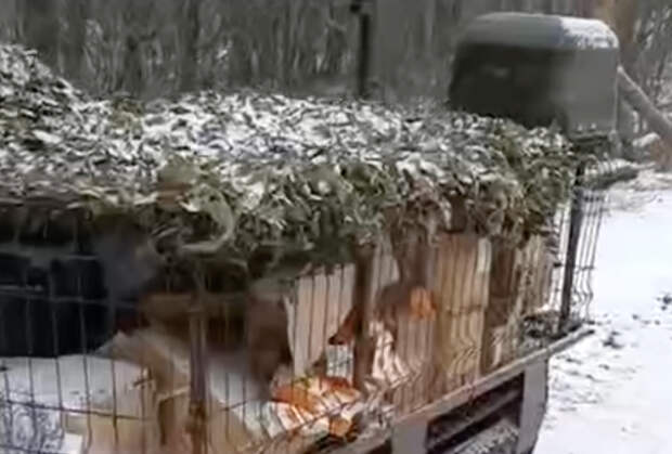 Столкновение двух дронов «Баба-Яга» попало на видео