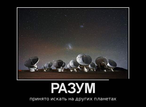 Демотиваторы