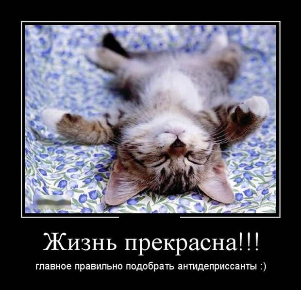 Демотиваторы демотиваторы, юмор