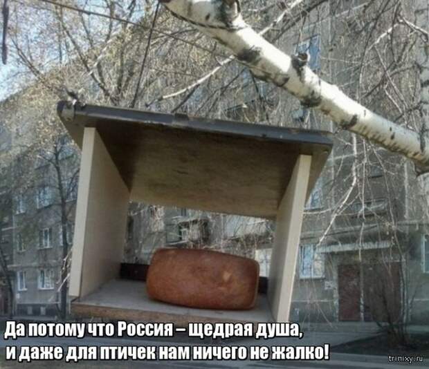 Весна уже пришла? Или пока еще нет? (23 фото)