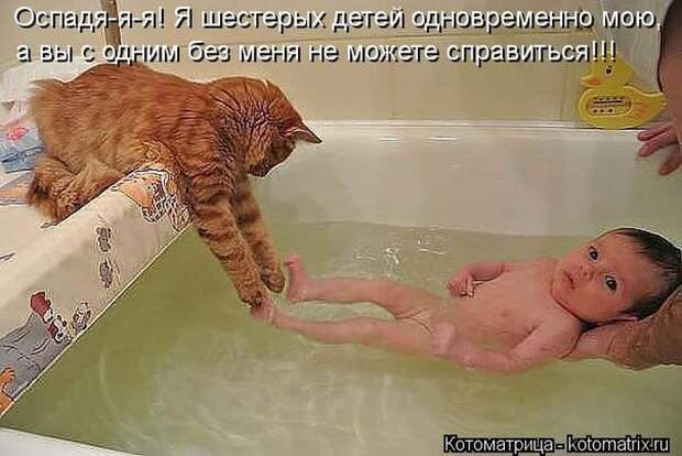 Лучшие котоматрицы за неделю