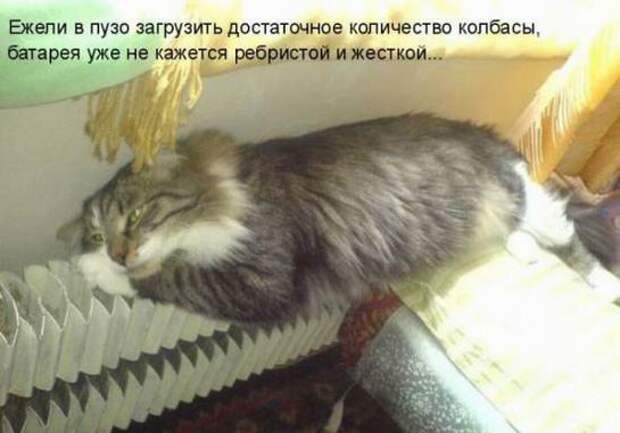 Мысли вслух :)