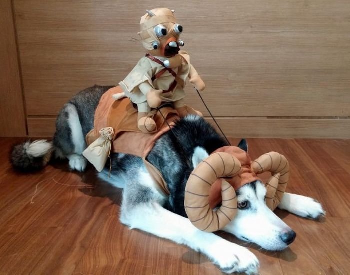 Прикольные картинки