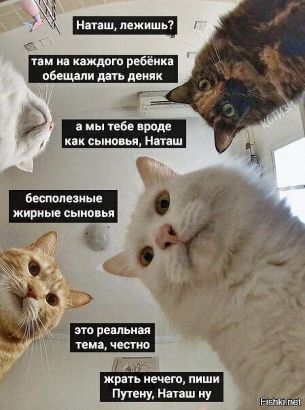 4f7555b714ae5c389fa1a291299338fc (449x604, 151Kb)