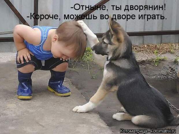 Котоматрицы(картинки с надписями)