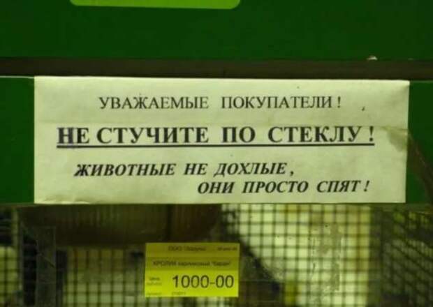 Прикольные вывески. Подборка chert-poberi-vv-chert-poberi-vv-32560217102020-14 картинка chert-poberi-vv-32560217102020-14