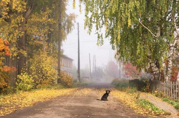 Осень в деревне Осень, Деревня, Природа, Красота, Фотография, Длиннопост