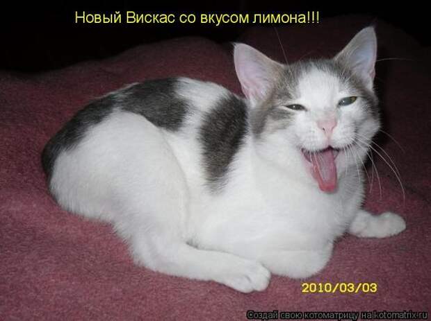 Мысли вслух :)