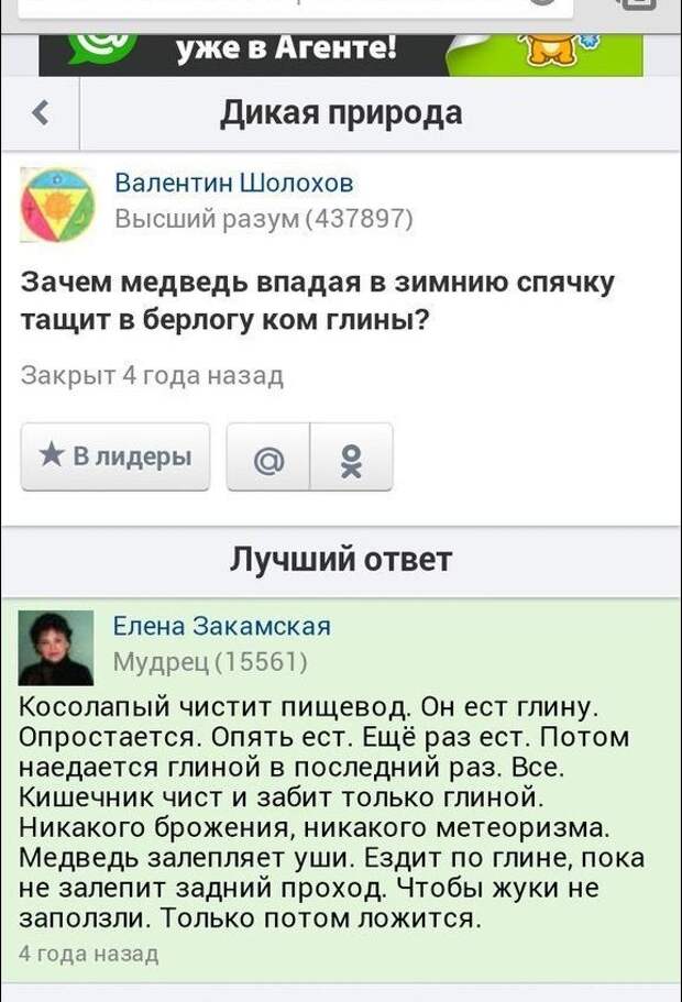 Забавные комментарии из социальных сетей