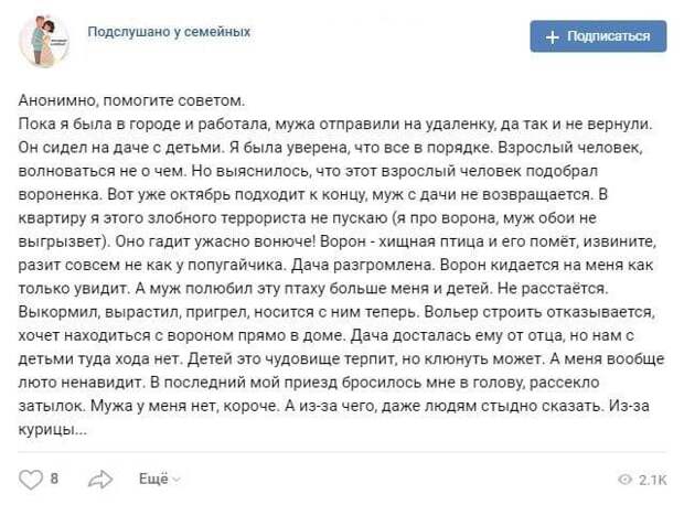 история про ворону