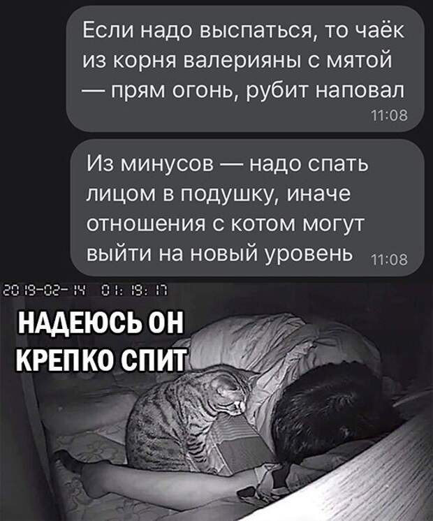 Комментарии и картинки из соцсетей