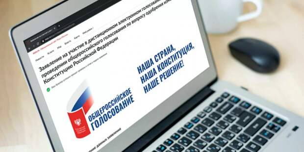 Голосование 25 - 30 июня: ответы на главные вопросы дистанционного голосования alt