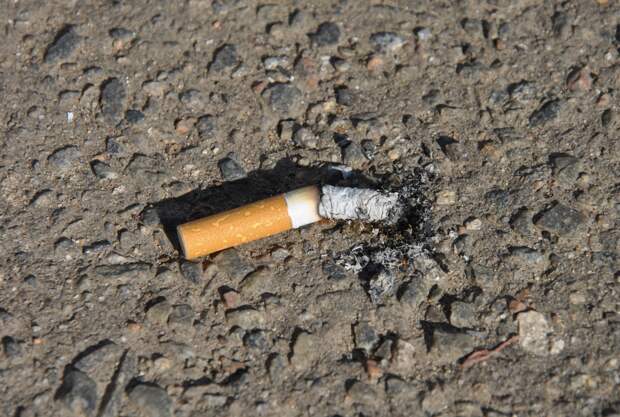 Убийцу 13-летней школьницы разоблачили через 42 года благодаря окурку