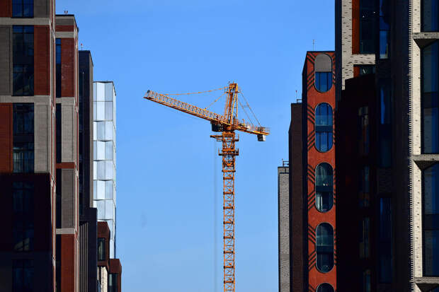 Депутат Кошелев предложил строить доходные дома для многодетных семей