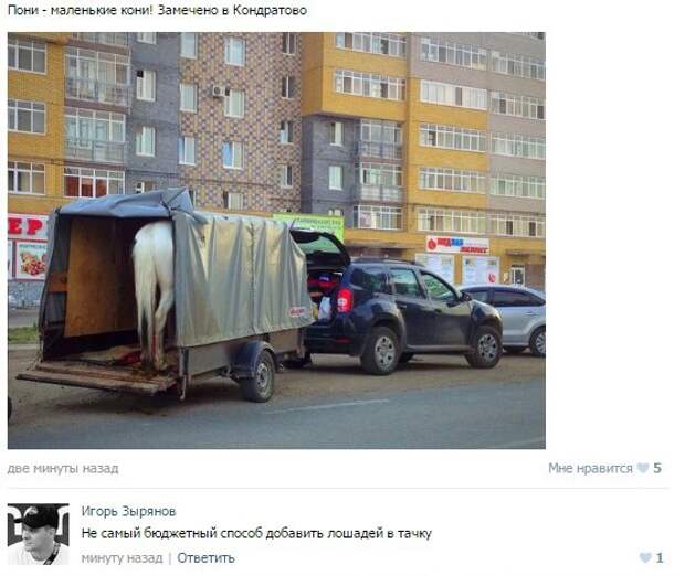 Забавные выдержки из переписки (22 картинки)