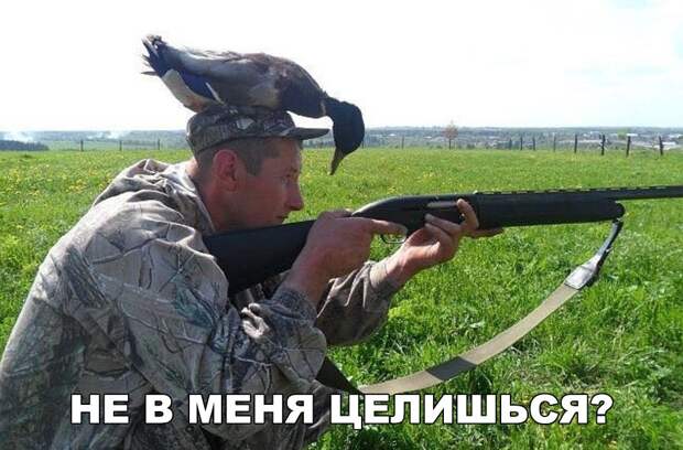 Забавные и прикольные картинки с надписями со смыслом