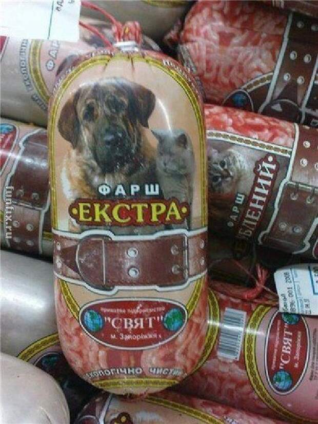 Правдивые надписи надпись, правда, смешно