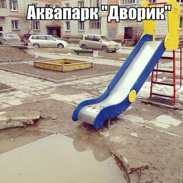 Картинки со смешными подписями картинки, юмор