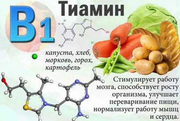 Витамин в1 польза. Витамин в1 тиамин функции. Витамин b1 тиамин роль в организме. Витамин б1 тиамин. Витамин в1 тиамин недостаток.