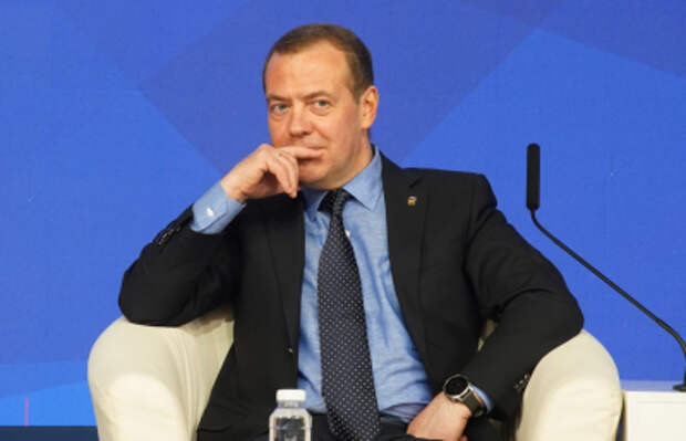 «Прозрели или Рождество?». Медведев удивился миротворческим заявлениям Писториуса и Стубба