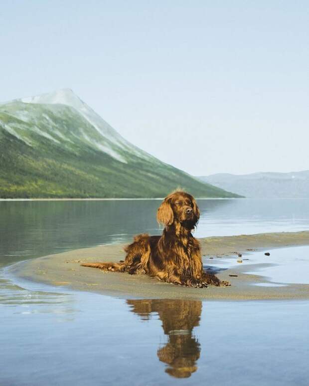 Эпические снимки путешествий норвежца и его собаки 