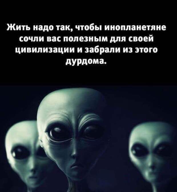 Глория-торжество очередного абсурда