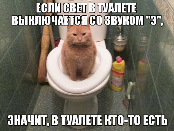 Народные приметы зрят в корень! Народные приметы зрят в корень! народные приметы, прикол