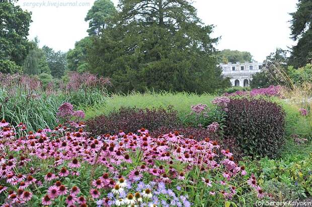 Trantham Gardens 117.JPG
