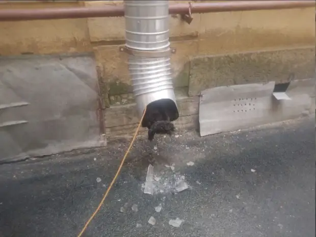 Чёрная кошка в Петербурге превратила спасательную операцию в цирк с аквапарком. С крыши съехала по трубе