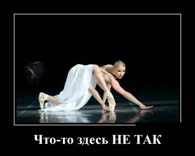 Демотиваторы (30 фото)