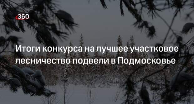Итоги конкурса на лучшее участковое лесничество подвели в Подмосковье