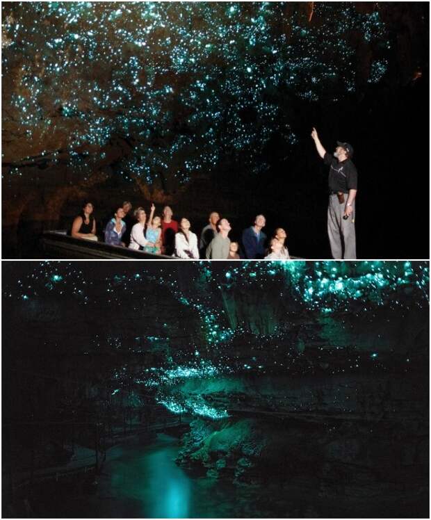 Пещера светлячков Вайтомо в Новой Зеландии. Пещера светлячков Вайтомо в Новой Зеландии.