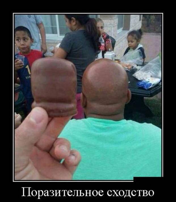 Веселая подборка свежих демотиваторов. Лучшие приколы