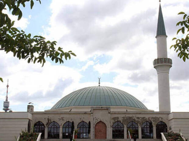 Австрийцы поддержали закрытие мечетей в стране