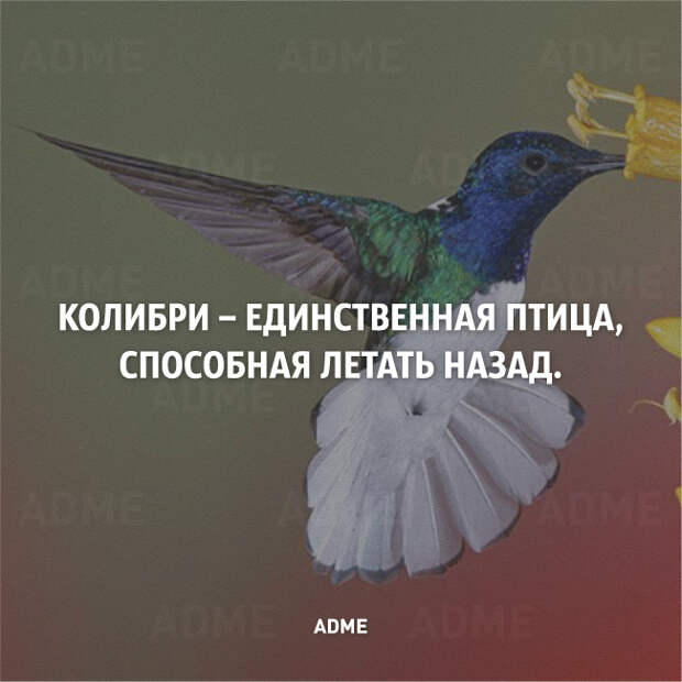 25 коротких фактов о нашем мире