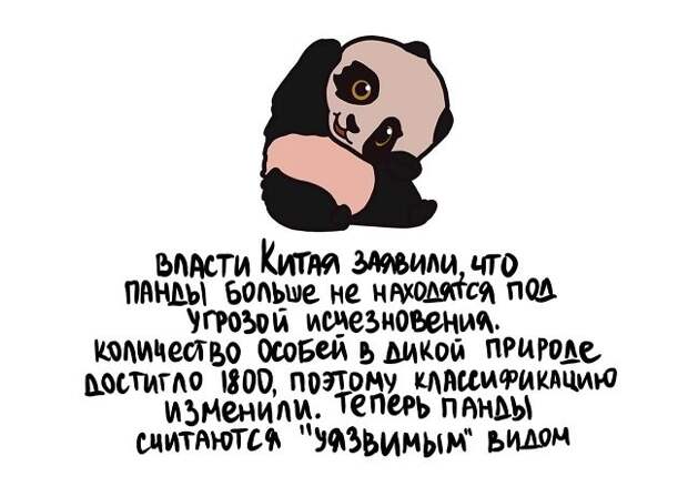 Короткие и интересные факты на все случаи жизни